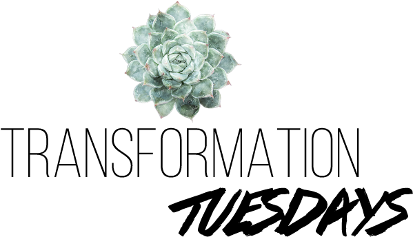 White Mexican Rose (800x383), Png Download