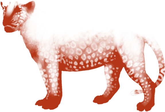 Lion (640x500), Png Download