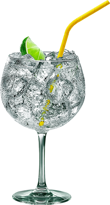 Gordon's Perfect G & T (358x664), Png Download