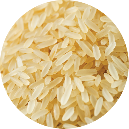 Rice (501x501), Png Download