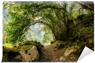 Moss (400x400), Png Download