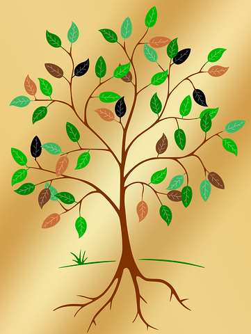 Tree, Root, Leaves, Contour - Tree Of Life Png (361x480), Png Download