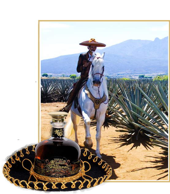 Techarro - Tequila Jalisco (568x645), Png Download