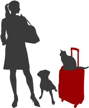 Pet Sitting - 2009 Mtv Video Music Brazil (319x380), Png Download