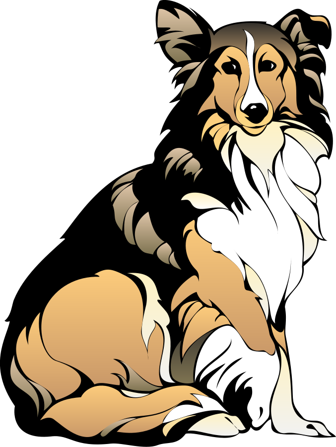 How To Set Use Sitting Collie Clipart - Collie Dog Clip Art (677x900), Png Download