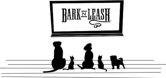 Join Our Pack - Bark 'n Leash (560x266), Png Download