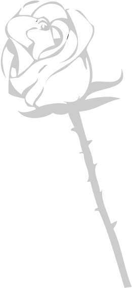 Sketch (596x842), Png Download