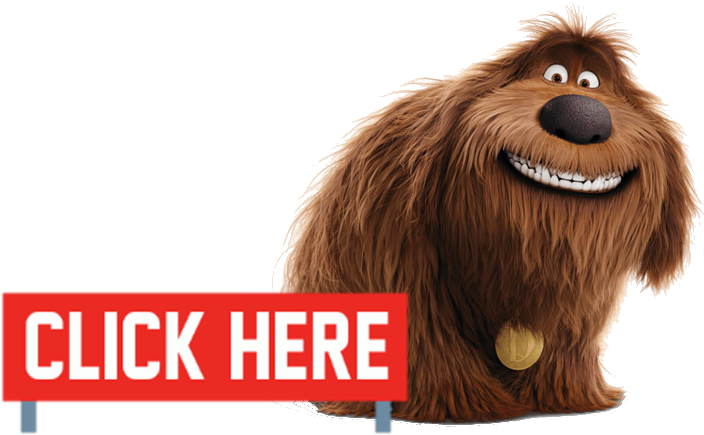 Click Duke - Vida Secreta De Tus Mascotas Duke (741x459), Png Download