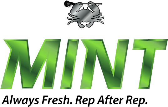 East Coast Dyes Mint Lacrosse Ball - Mint Lacrosse Ball (576x349), Png Download