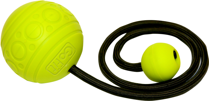Targeted Massage Ball - Gofit Goball Therapeutic Massage Ball On A Rope (700x700), Png Download