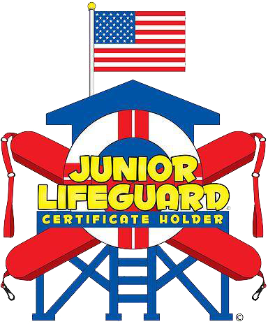 Lifeguard Certificate Holders - Flag Of The United States (384x464), Png Download