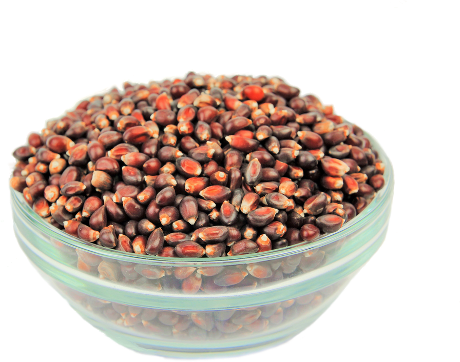 Encuéntralas Aquí En Nuestra Mesa En El Marketplace - Heirloom Red Popcorn (1024x750), Png Download