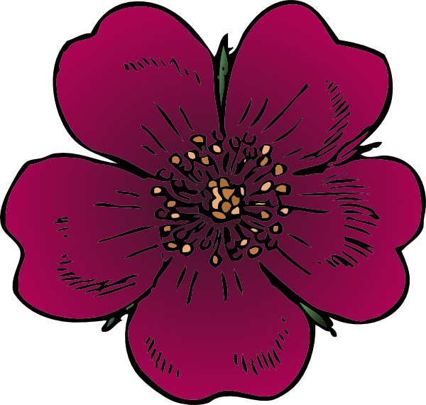 Wild Rose Clipart Png For Web - Clip Art (600x570), Png Download