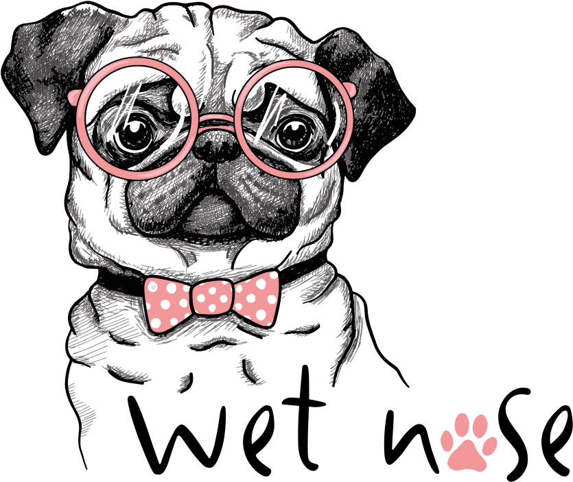Wet Nose Boxes Come With All Natural Dog Treats And - Pug With Sunglasses Drawing (972x1000), Png Download