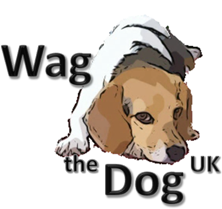 Source For Dog Friendly Travel, Tasty Home Made Dogfood, - Tail Wagging By Dogs (550x486), Png Download