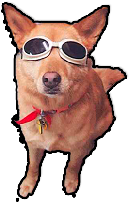 Dog Yawns (350x527), Png Download