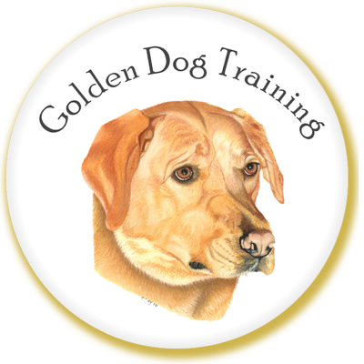 How Their Dog's Mind Works - Website (400x400), Png Download