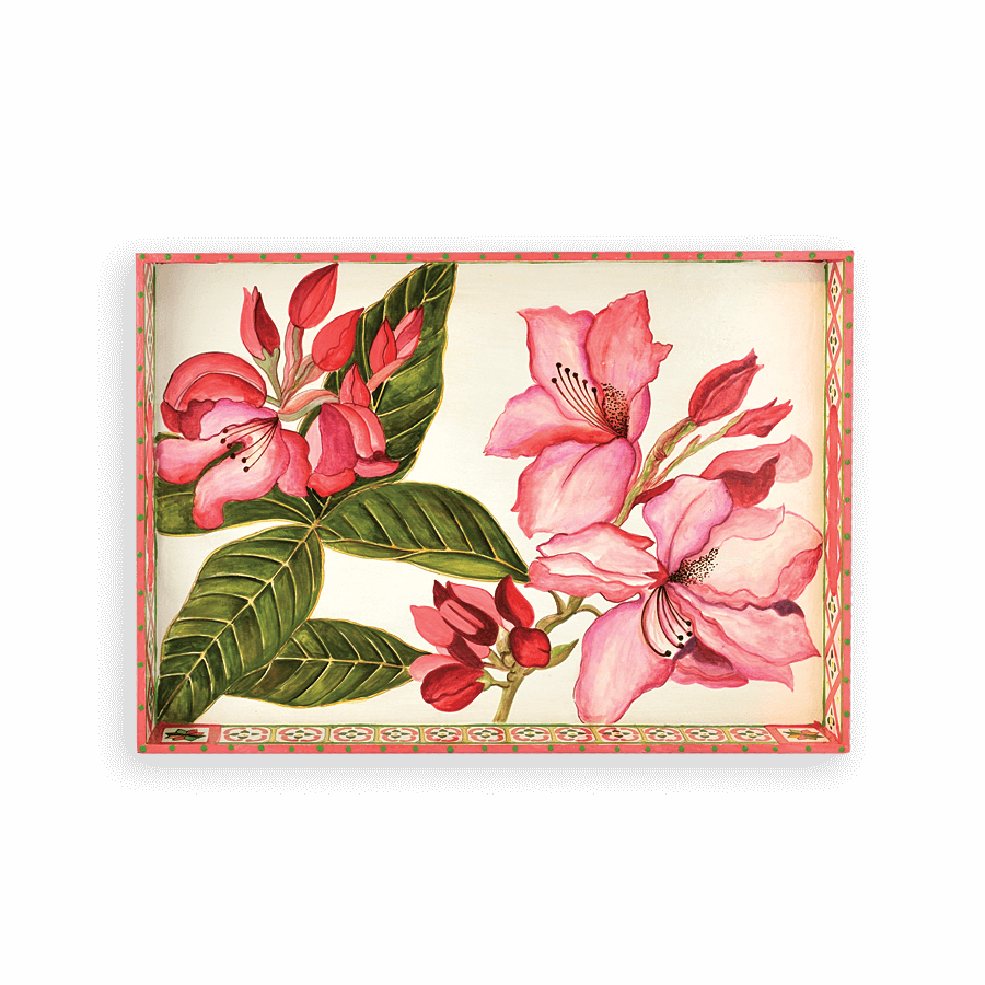 Lac-50 Rhododendron - Rhododendron (900x900), Png Download