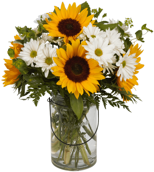 Summer Sun - Product (500x611), Png Download