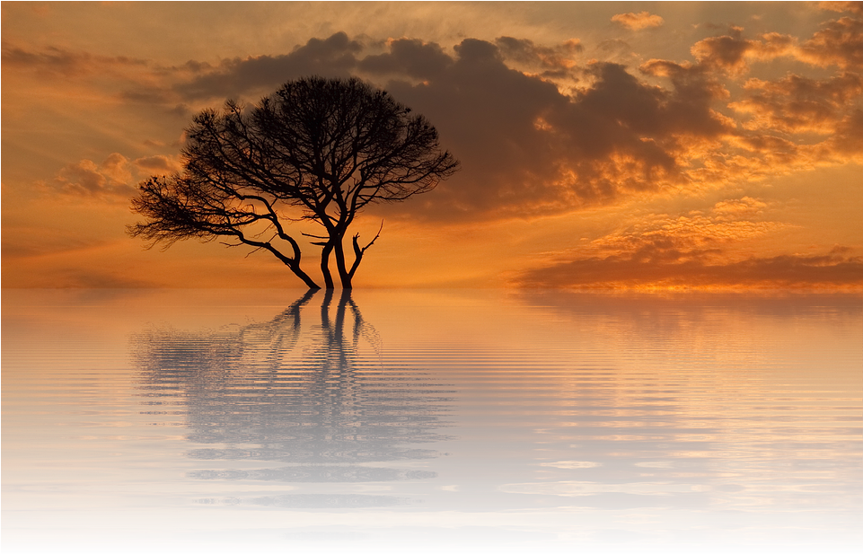 Sun, Sunset, Summer, Nature, Dusk, Scenic, Late Summer - Senja Png (960x640), Png Download