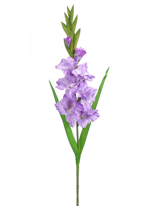 6" Gladiolus Spray Lavender - Tall Gladiolus Flower Bouquet (800x800), Png Download