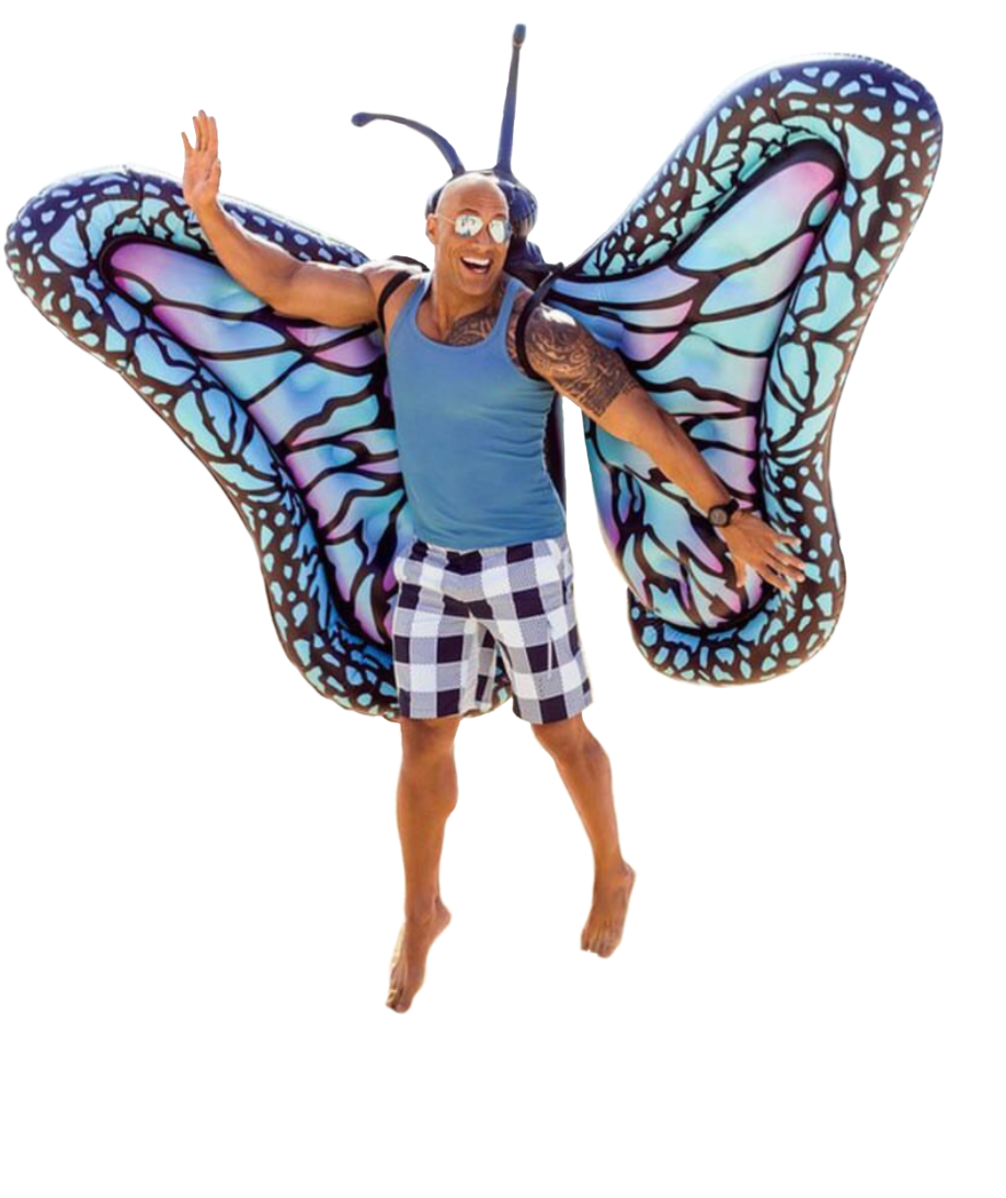 Personthe - Girl Wearing Butterfly Wings (1188x1480), Png Download