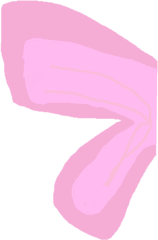 Butterfly Wing - Thumbnail (640x867), Png Download