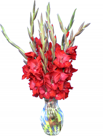 August Flower Of The Month - Bouquet (480x480), Png Download