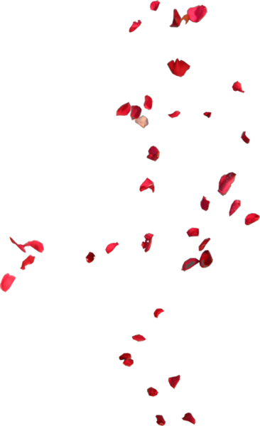 Blowing Rose Pedals - Rose Leaves Flying Png (366x600), Png Download