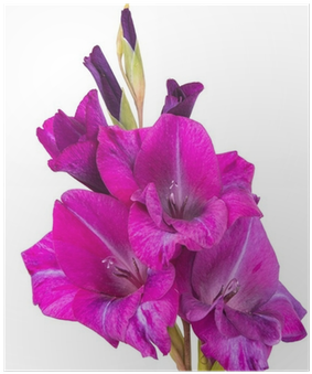 City Block (400x400), Png Download