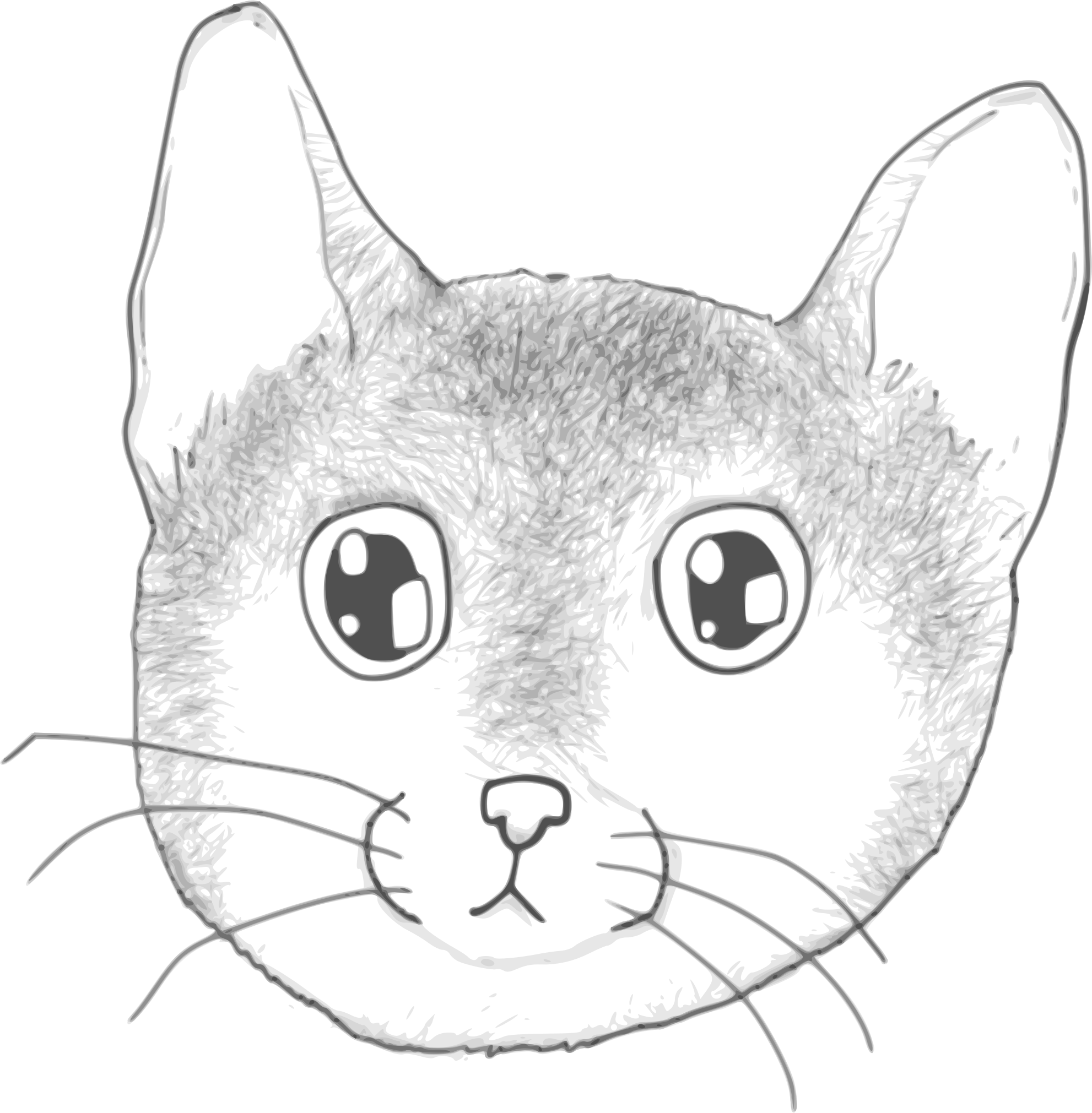 This Free Icons Png Design Of A Stripped Kitten Face (1982x2021), Png Download