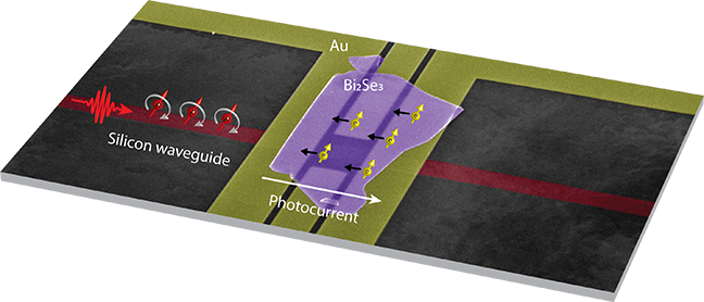 Reversing The Direction Of The Light Reverses Both - Electric Current (648x278), Png Download