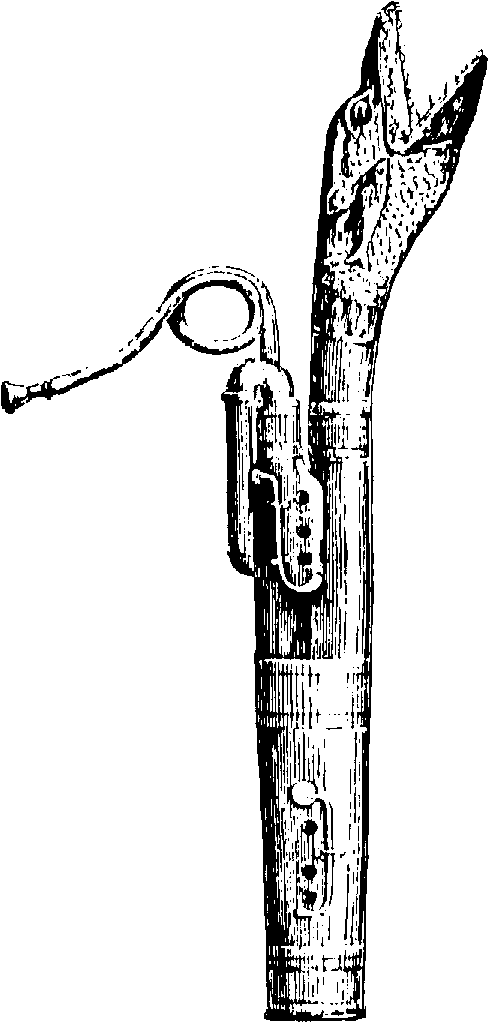 Russian Bassoon (664x1051), Png Download