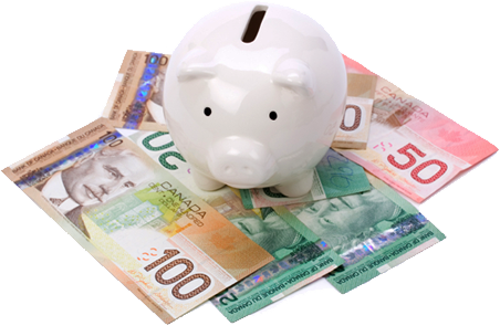 People Who Are Having Small Income And Faces Cash Woes - Piggy Bank Canadian Money (452x295), Png Download