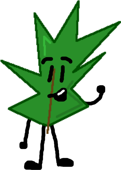 Sss Pine Needle - Portable Network Graphics (800x800), Png Download