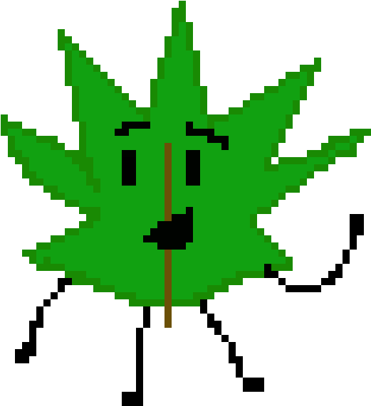 Pine Needle - Portable Network Graphics (700x660), Png Download