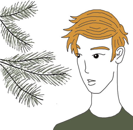 Pine Needles - Illustration (450x450), Png Download