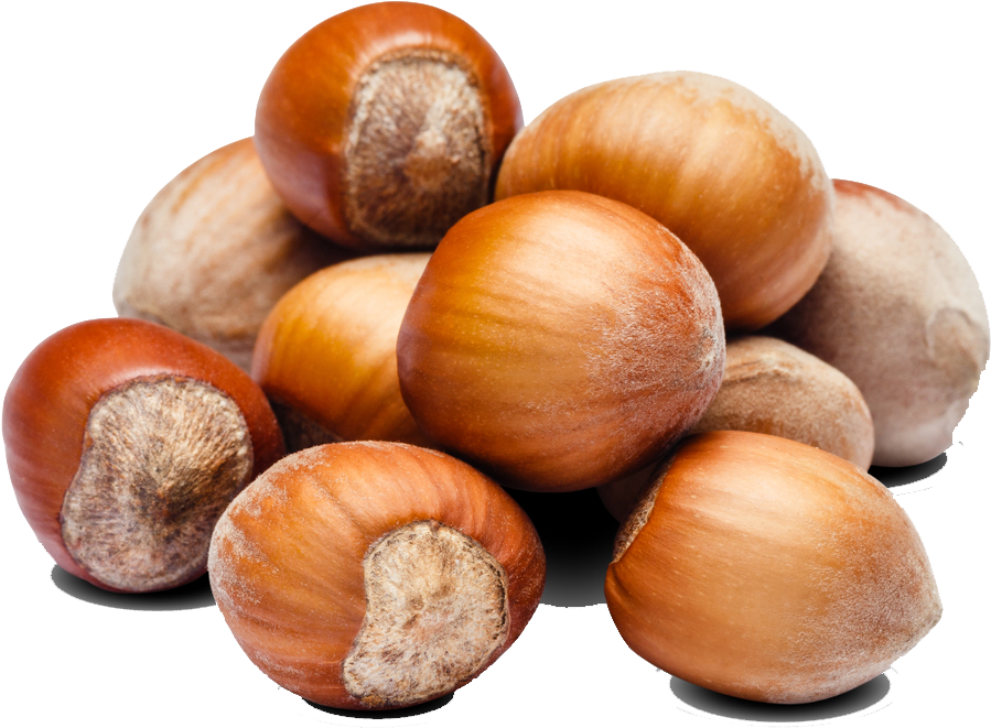 Hazelnut Storage - Hazelnut (1000x1000), Png Download