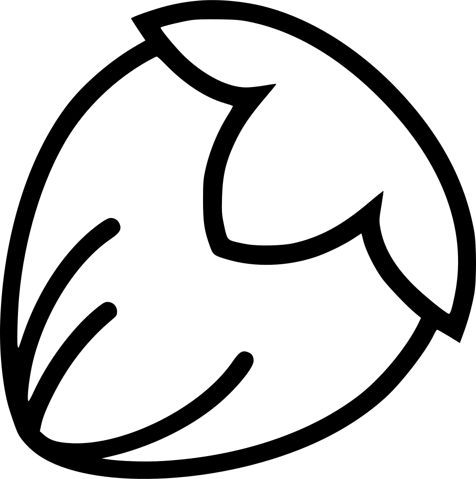 Hazelnut Comments - Hazelnut Icon Png (980x986), Png Download