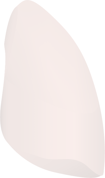 Right Side Of A Human Lung - Lung (336x571), Png Download