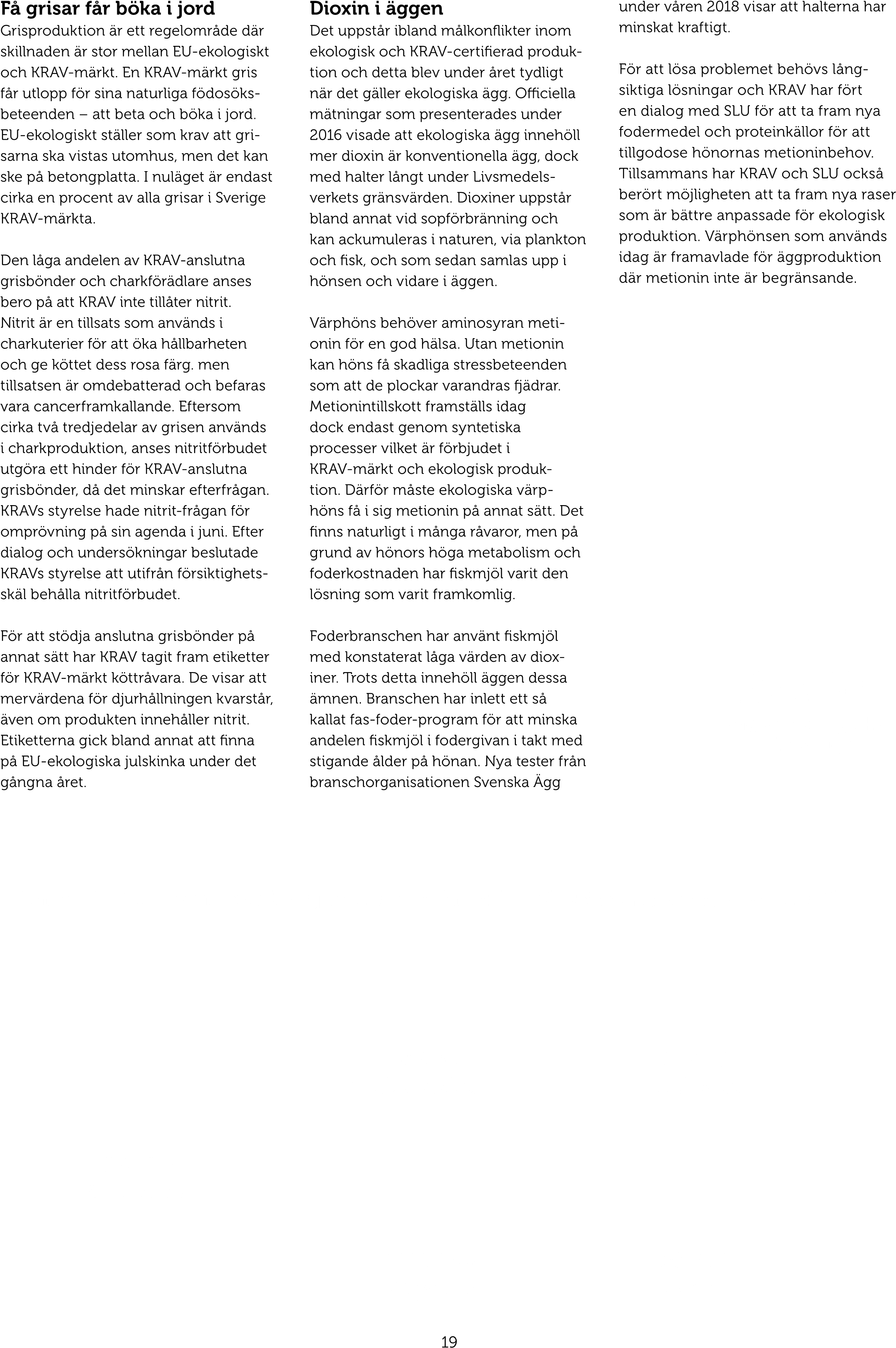 Page0019 L1 - Catholic Essentials Chapter 1 Crossword Answers (2742x3879), Png Download