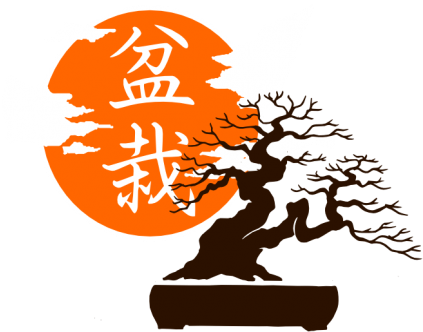 Special Packages - Logo Bonsai (440x339), Png Download