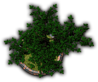 Bonsai6 - Grass (392x330), Png Download