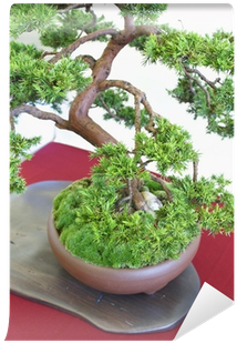 Flowerpot (400x400), Png Download