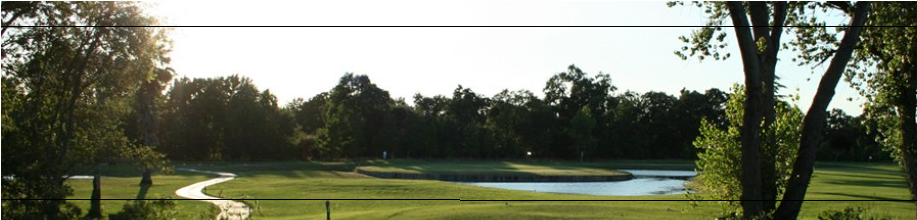 Golf Facility - Tree (916x609), Png Download