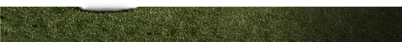 Auto Tee Up Foreground - Lawn (1600x700), Png Download