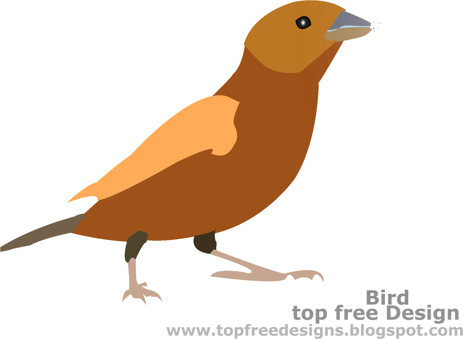 Bird Clipart - Freedom Leisure (1600x1256), Png Download