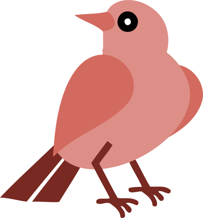 European Robin Silhouette Bird Beak - Clip Art (700x750), Png Download