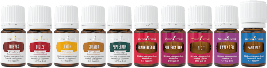 The Healing Power Of Essential Oils - Young Living Starter Kit Oils 2018 (900x231), Png Download
