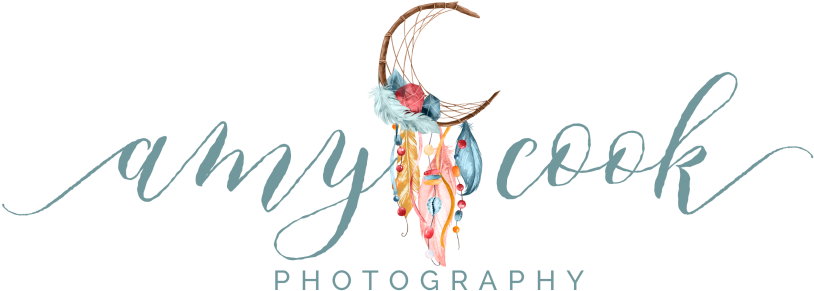 Masthead Header - Portrait (970x331), Png Download